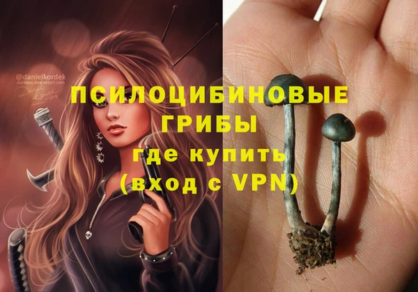 эйфоретик Абаза