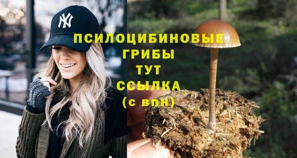 дживик Абинск