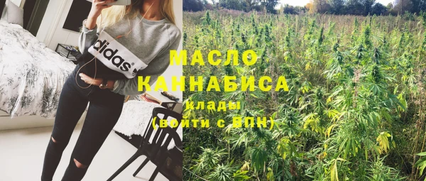 дживик Абинск