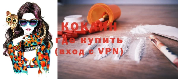 дживик Абинск