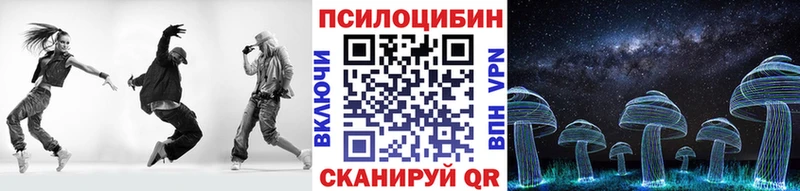 Галлюциногенные грибы Psilocybine cubensis  Черногорск 