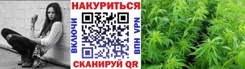 Конопля семена  магазин продажи   Черногорск 
